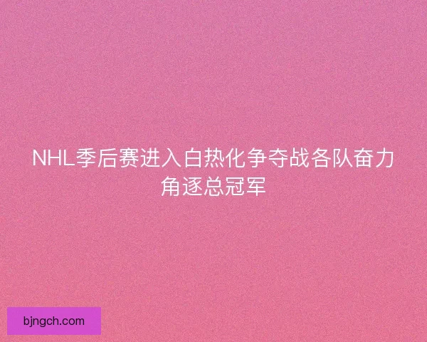 NHL季后赛进入白热化争夺战各队奋力角逐总冠军