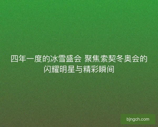 四年一度的冰雪盛会 聚焦索契冬奥会的闪耀明星与精彩瞬间